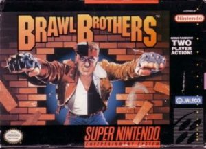 Brawl Brothers (1993)
