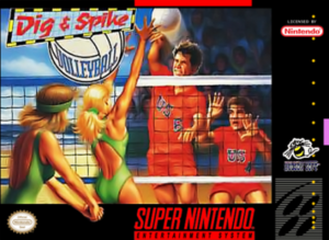 Dig & Spike Volleyball (1993)