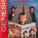 Home Alone 2 Lost in New York (1993)