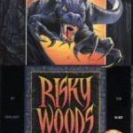 Risky Woods (1992)