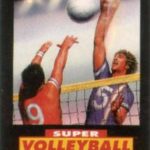 Super Volleyball (1991)