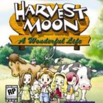 Harvest Moon A Wonderful Life (2004)